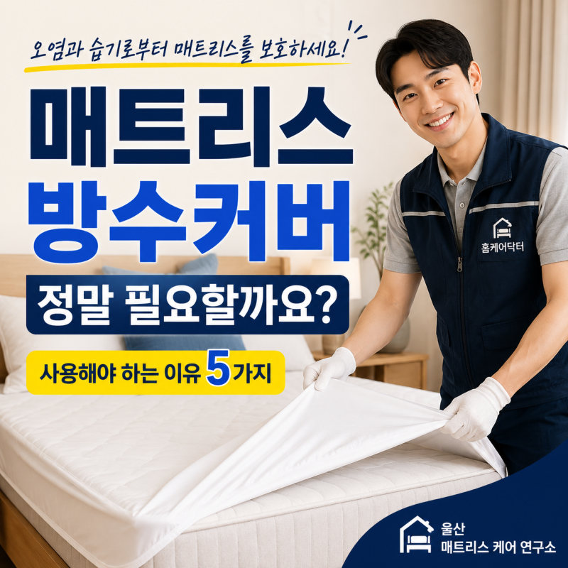 매트리스 방수커버, 정말 필요할까요? 오래 사용하고 싶다면 꼭 알아야 할 5가지