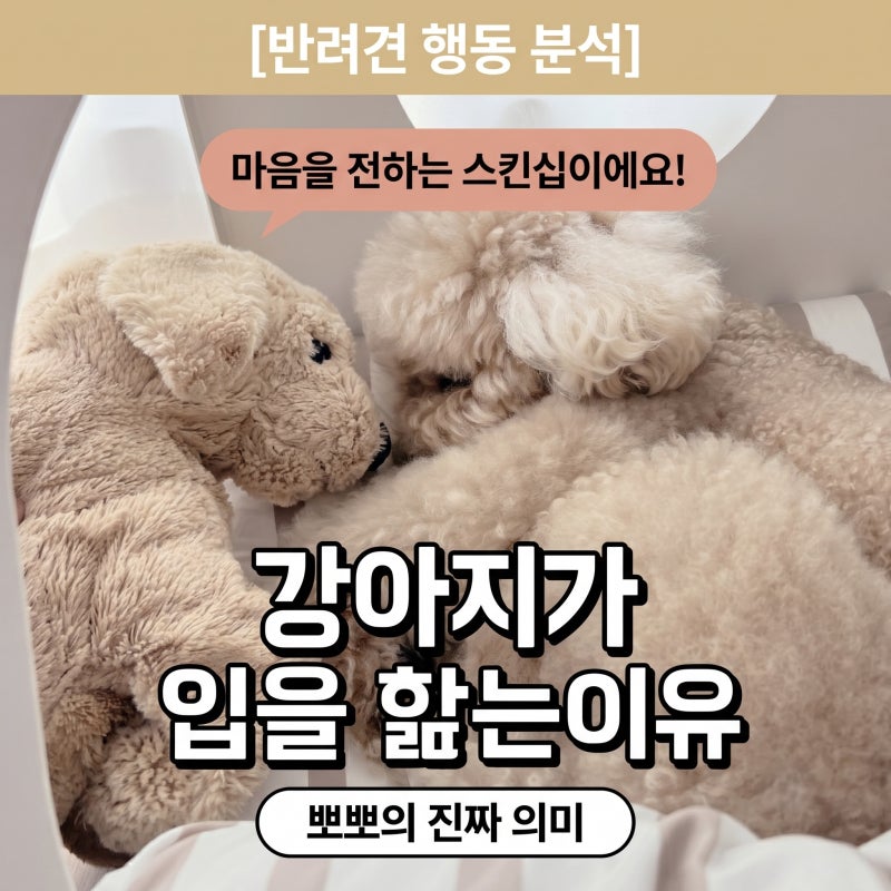 강아지가 입을 핥는이유 강아지 뽀뽀 진짜 이유는?