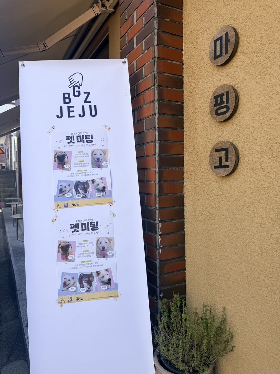마핑고 사진 3