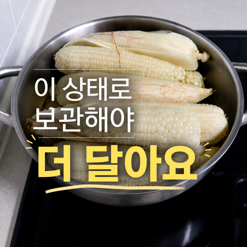 달게 먹는 비법이 있다 생옥수수 찐옥수수 삶는법과 보관