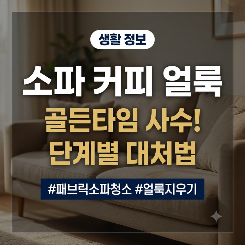 패브릭소파청소방법, 커피 쏟았을 때 얼룩 없이 지우는 단계별 대처법