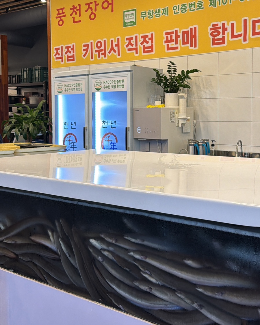 풍천장어 사진 2