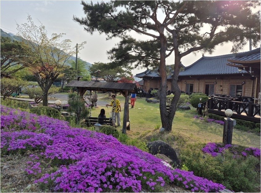 황토펜션 사진 5