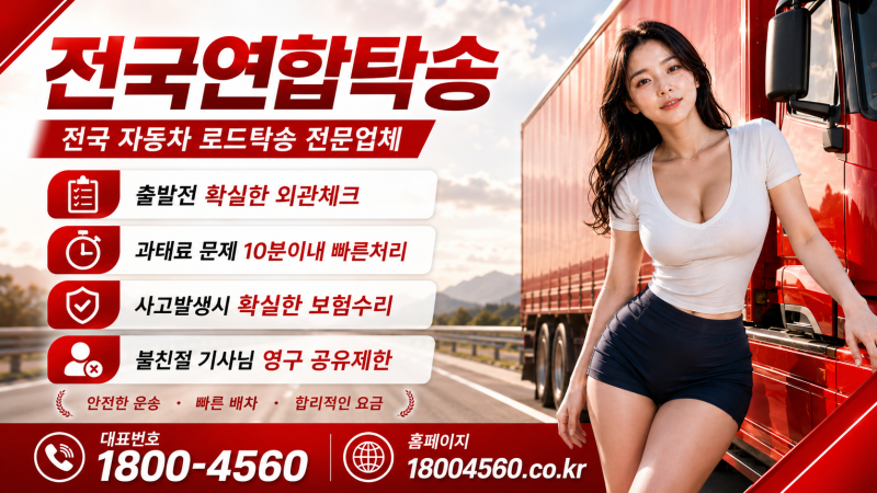 대구 제주도탁송 전문! 전기차부터 승용차·SUV까지 안전한 제주 차량탁송