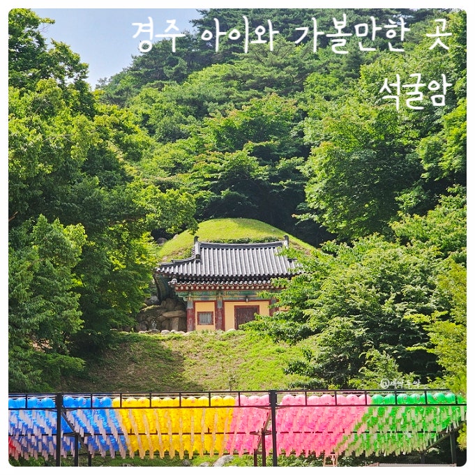 경주 아이와 가볼만한 곳 '석굴암, 내류사' 불국사에서 버스로 석굴암가기, 국가유산 방문자....