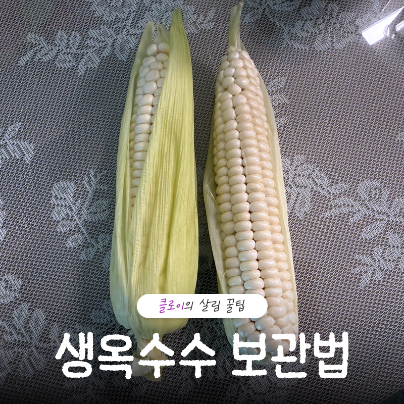생옥수수 보관법, 겨울에도 싱싱하게 먹는 냉장 냉동 보관 꿀팁