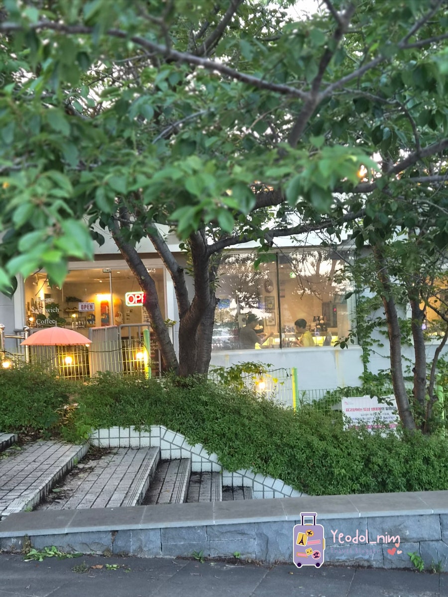 골드파파 사진 3