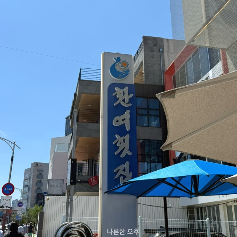 경북 포항 물회 맛집 환여횟집 웨이팅 솔직한 후기
