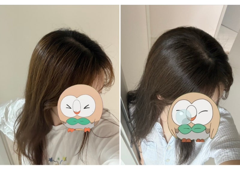 [염색] 셀프 염색 톤다운 2번째, 밀본 염색약 크리스탈 민트 + 포기그레이지로 톤타운을 해보....