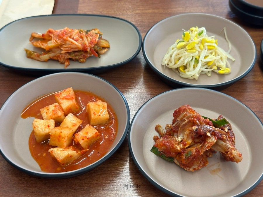 본날 사진 6