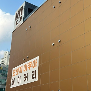 일산오렌지아쿠아 / 일산아이랑 / 일산아쿠아카페 / 고양시물고기카페 / 방학가볼만한곳 / 일....