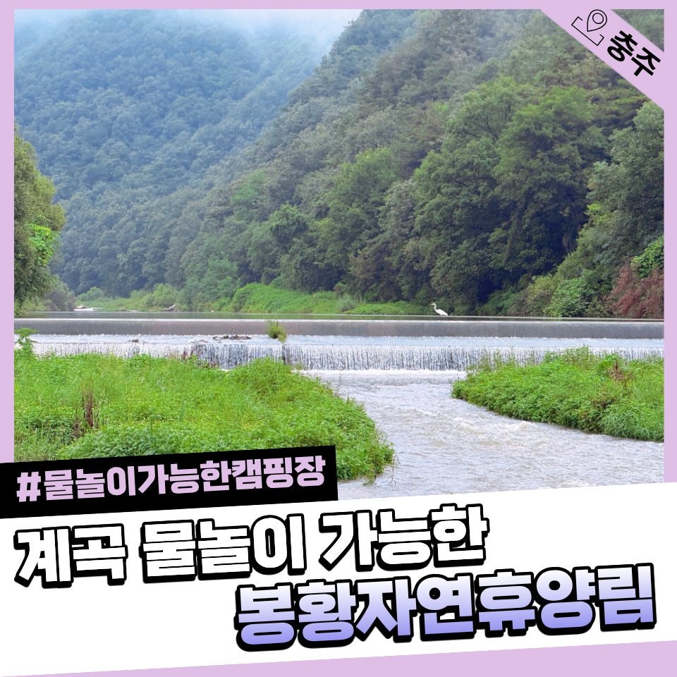 봉황자연휴양림 사진 1