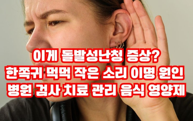 돌발성난청 증상 한쪽귀 먹먹 소리 이명 원인 병원 치료 관리 음식 영양제