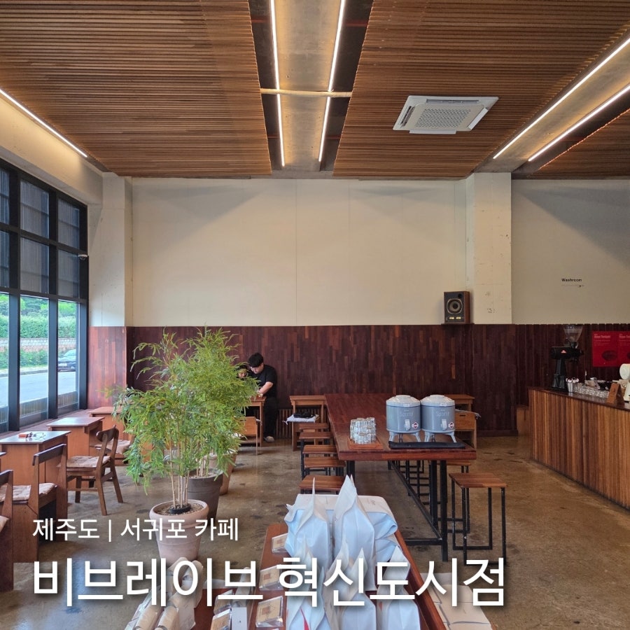 비브레이브 사진 1