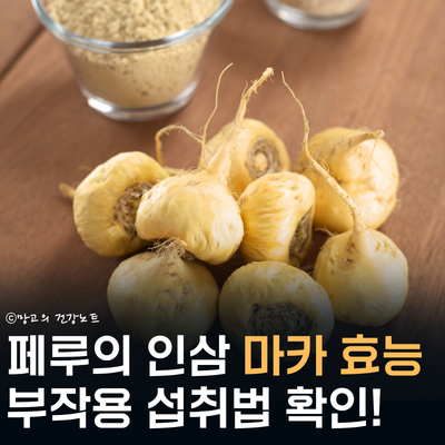 마카 효능 5가지 확인하세요!ㅣ부작용, 영양성분, 복용법, 블랙 옐로우 레드 비교