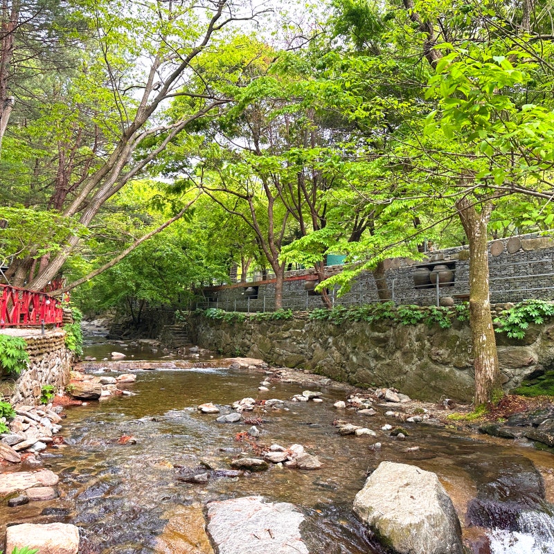 京畿道抱川3個可玩水溪谷露營場及豪華露營場