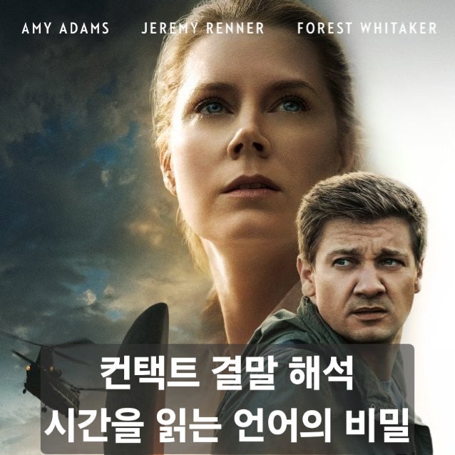 영화 컨택트 결말 해석 | 처음과 끝은 무의미하다, 시간을 읽는 언어가 바꾼 인생