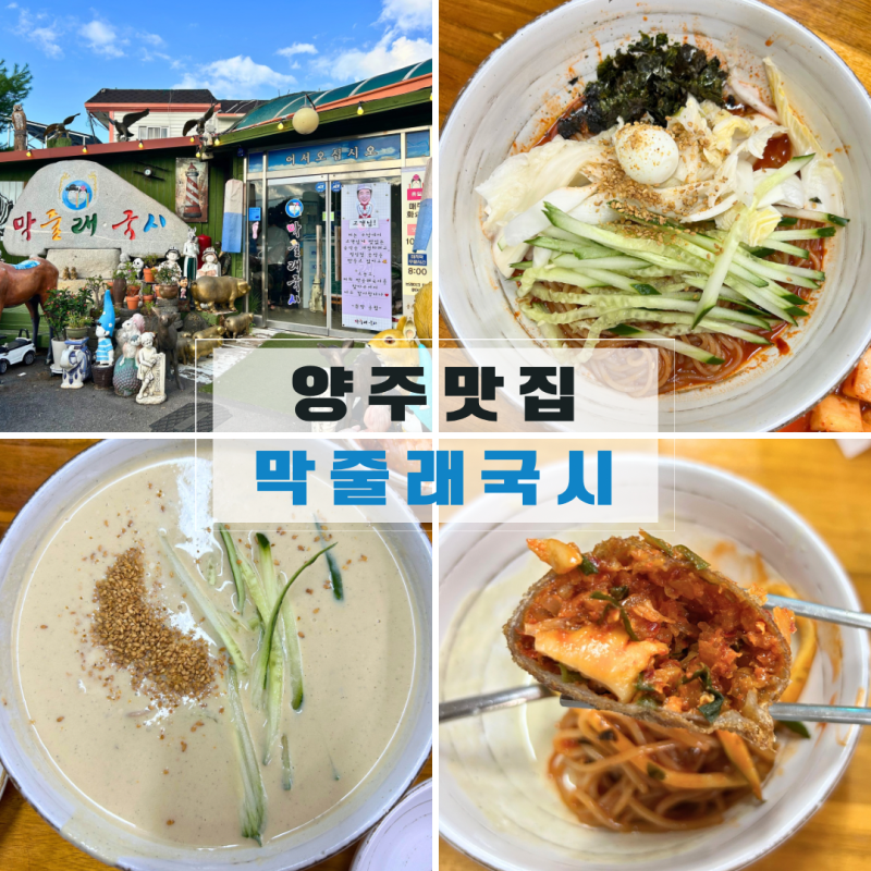 양주 국수 맛집 [막줄래국시] 국수 무한리필 가성비 최고 추천