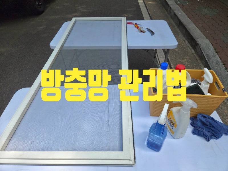 방충망 관리법(방충망의 종류와 장. 단점, 관리법, 방충망 선택 기준)