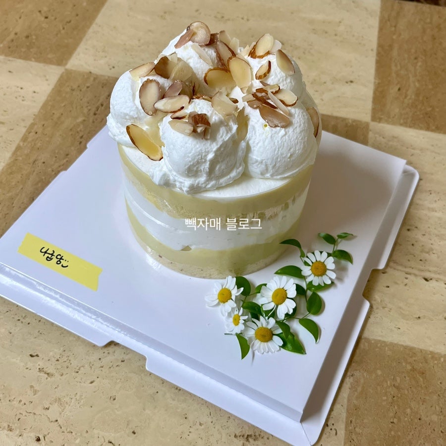 중앙곰장어 사진 6
