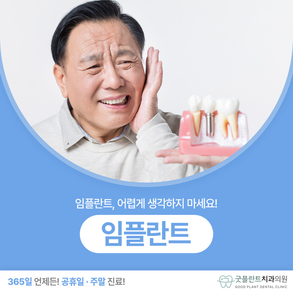 플란트 사진 6