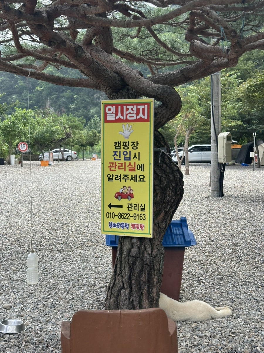 칠봉유원지 사진 6