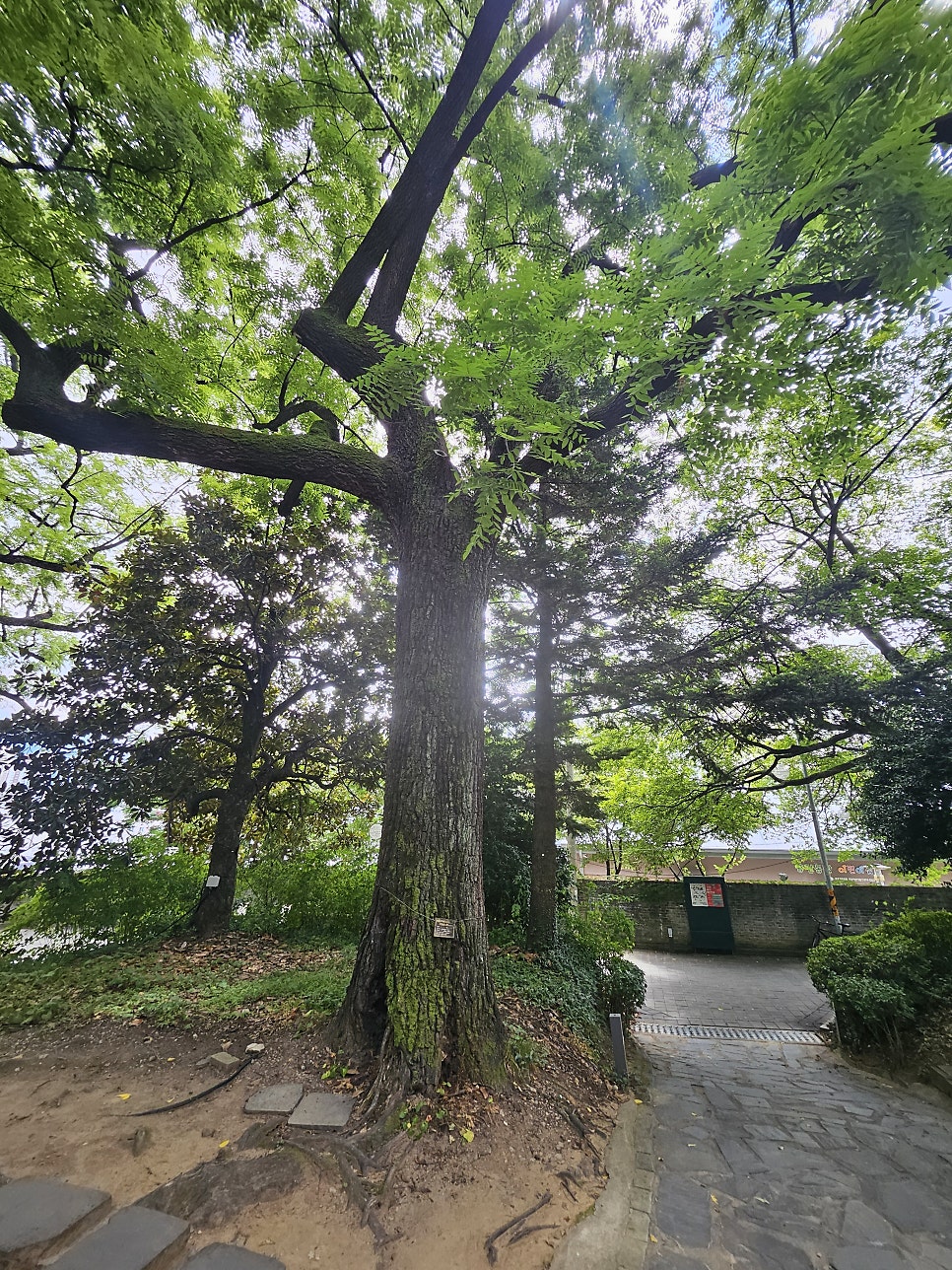 하원재 사진 5