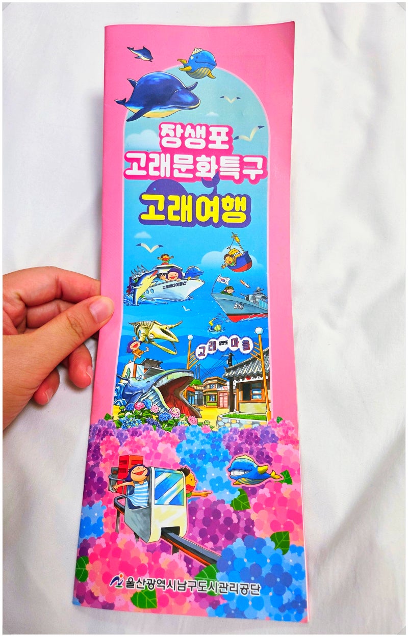 울산 장생포 고래문화특구 여행코스 총정리 고래박물관부터 모노레일까지