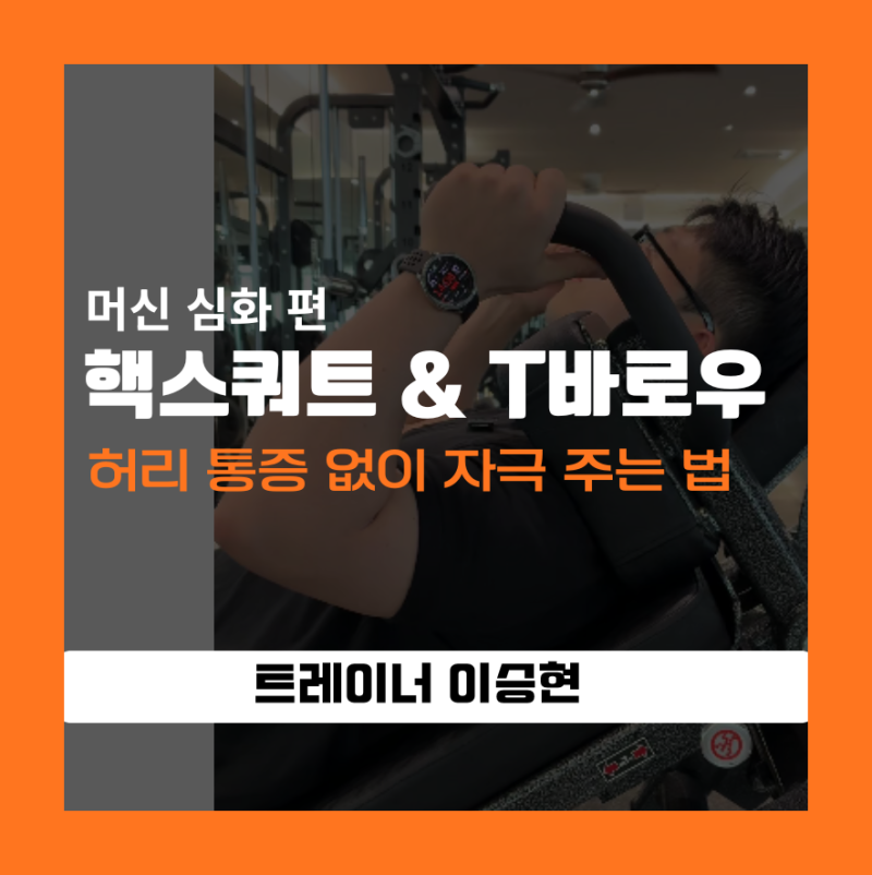 뉴텍 핵스쿼트 & T바로우, 허리 아프셨나요? 갈마동 PT 코치가 알려주는 디테일의 차이 (심화 ....