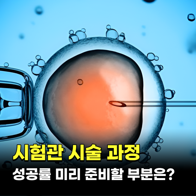 시험관 시술과정 성공률, 미리 준비할 부분은?