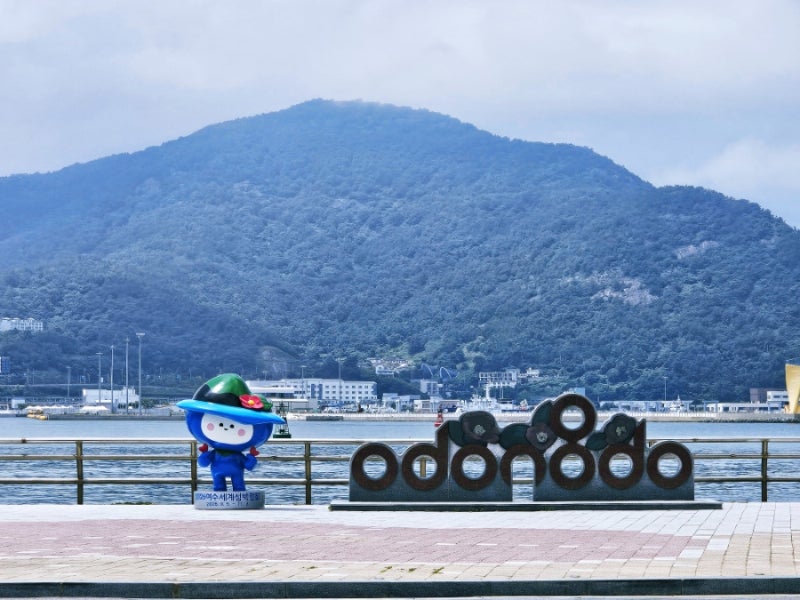 여수여행 가볼만한곳 오동도 동백열차 타는법 주차장 시간표