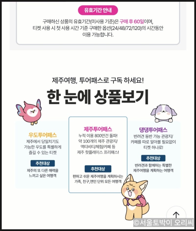 제주투어패스 섭지코지 깡통열차 아트서커스 사용처 지도 뽕뽑는법