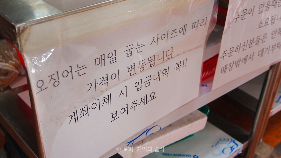 반건조오징어 사진 5