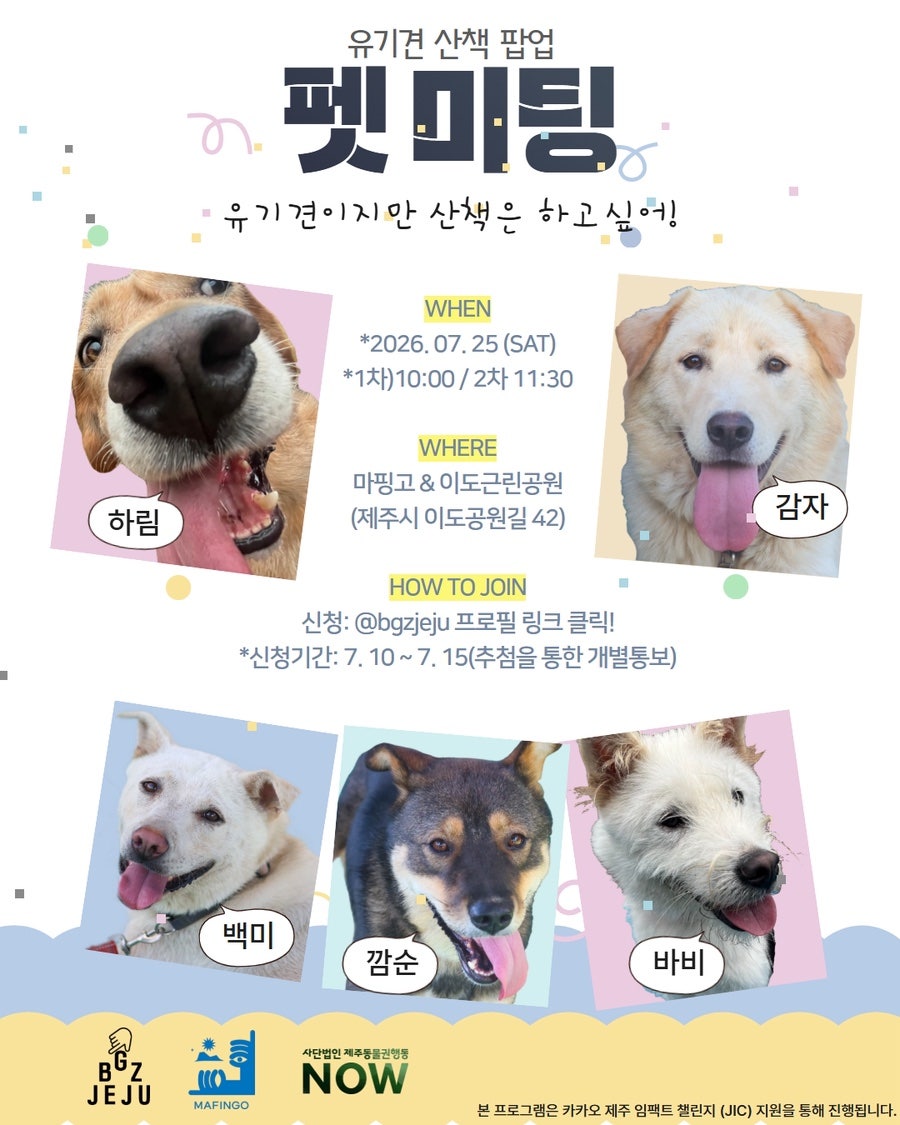 마핑고 사진 2