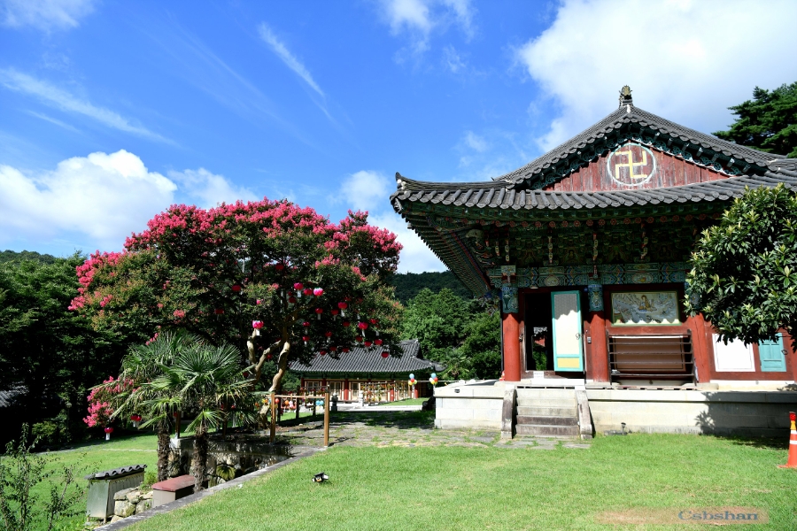 사계 사진 2