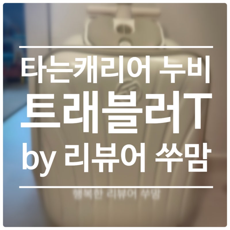 누비 유아캐리어 트래블러T 기내용 트라이크 구매후기