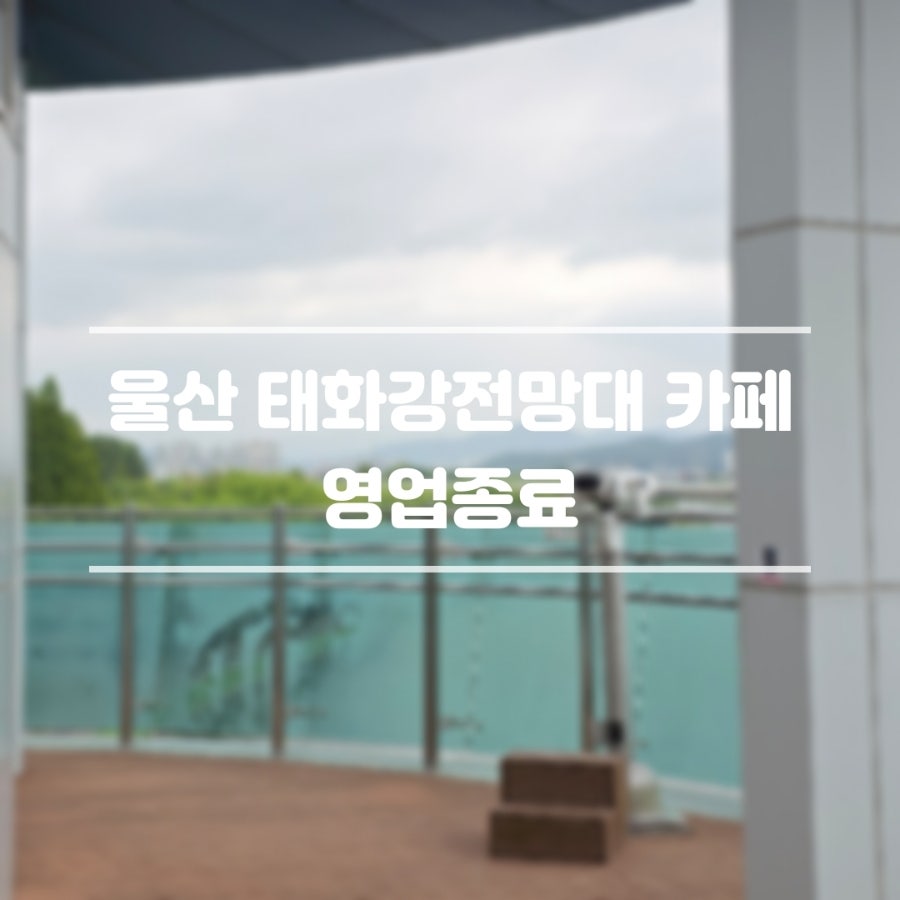 태화강전망대카페 사진 1