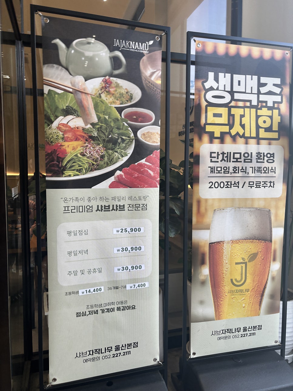 샤브자작나무 사진 2