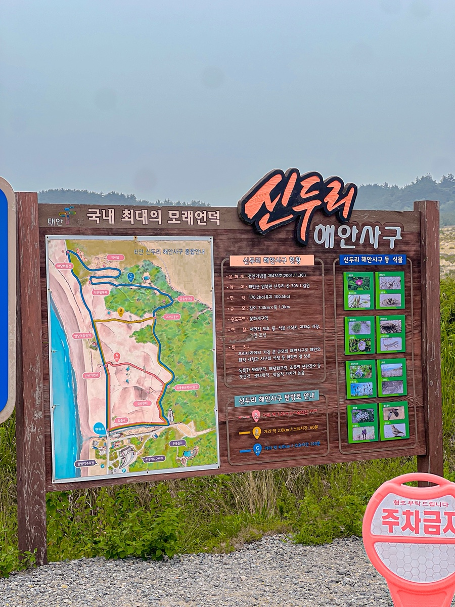 신두리해수욕장 사진 2