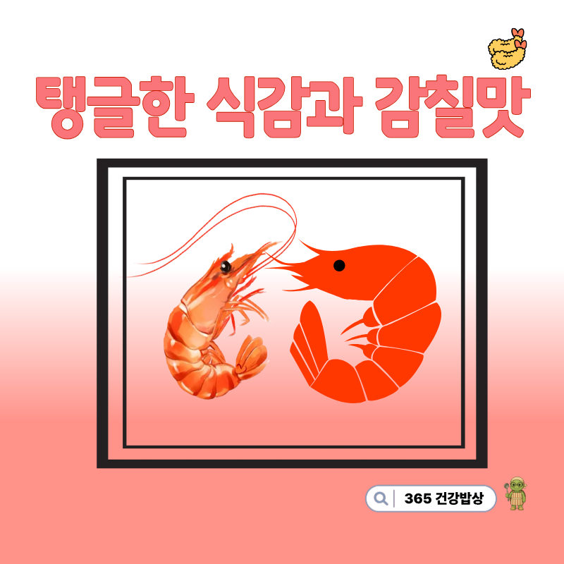 대하·흰다리새우 차이부터 독도새우·영양·손질 팁