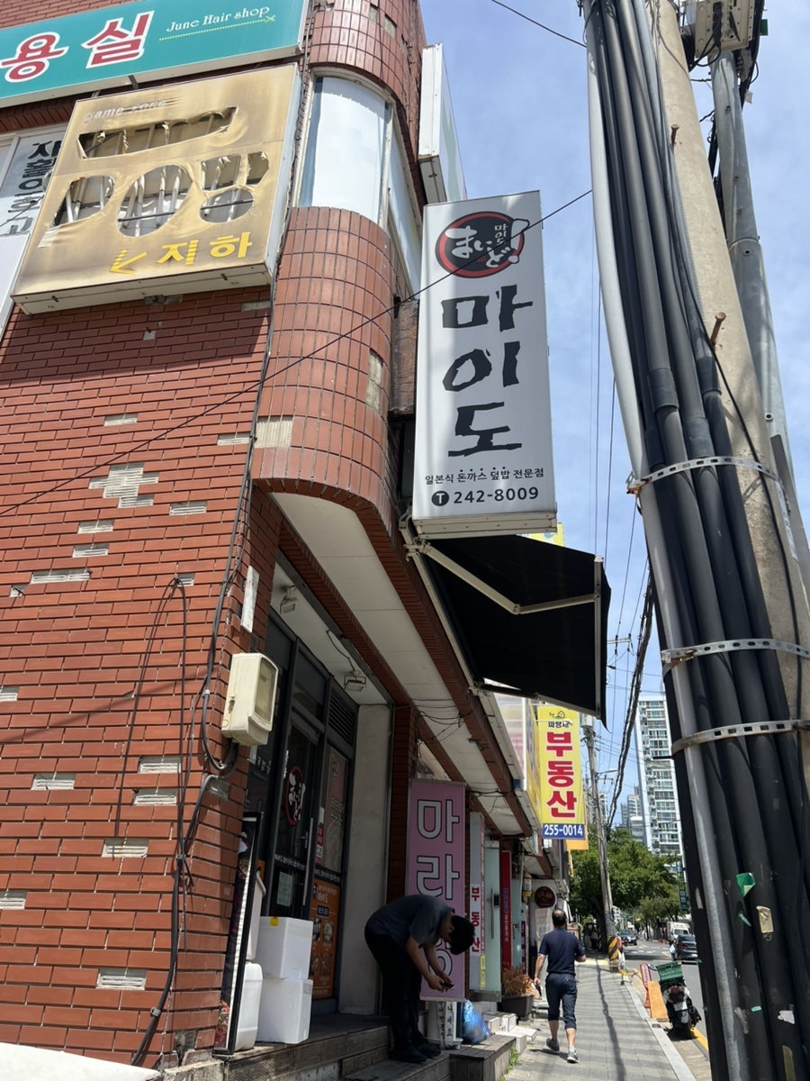 마이도 사진 3