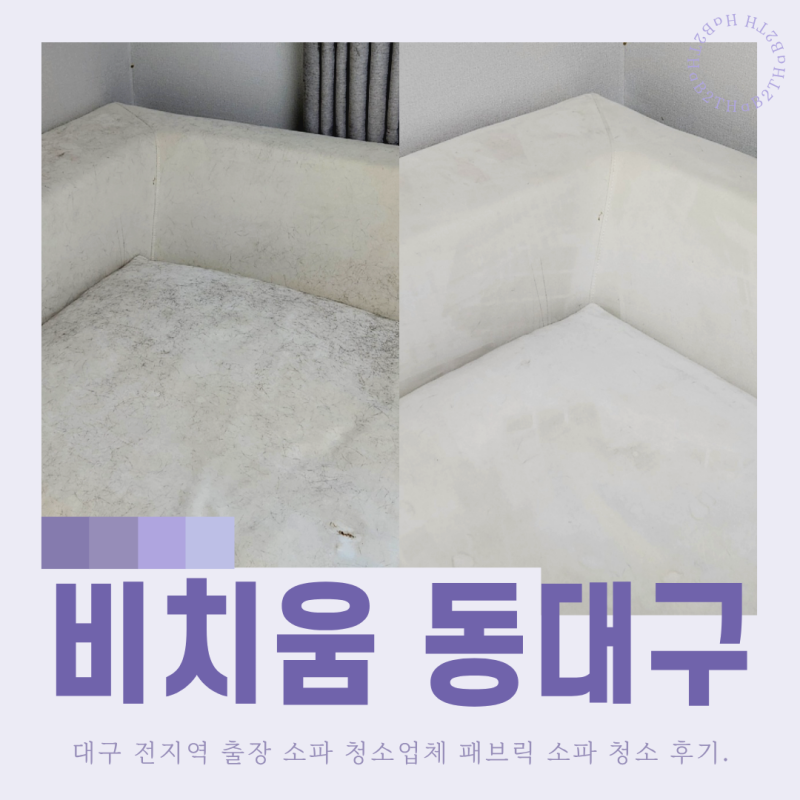 대구 패브릭 소파 세탁 비치움 동대구 대리점에서 털부터 얼룩까지 말끔하게