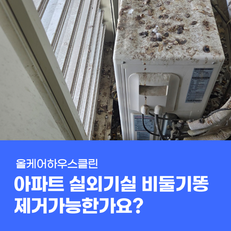인천 비둘기똥청소업체, 아파트 실외기 비둘기똥 제거 가능한가요?