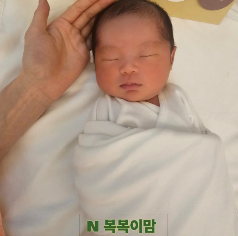 신생아 목욕 방법 & 물 온도 준비물 5단계 총정리 (초보맘 꿀팁)