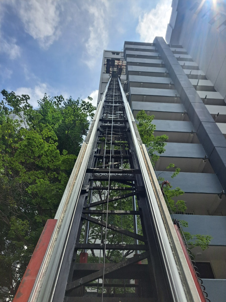유원 사진 4