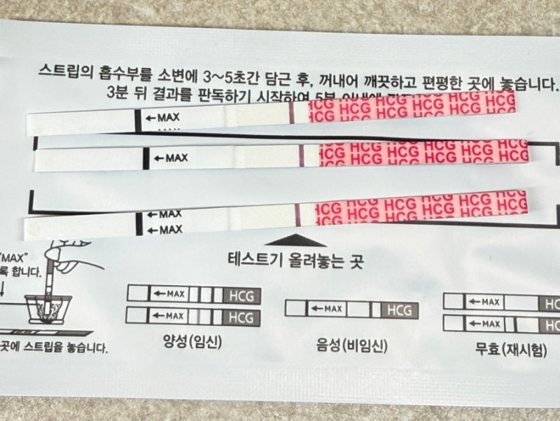[임신준비] 인공수정 3차 결과 / 오비드렐 영향 임테기