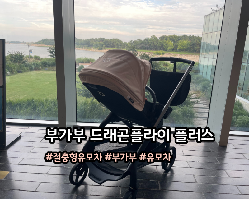 I. 육아용품 : 부가부 드래곤플라이 플러스 내돈내산 하나면 충한 절충형 유모차 추천