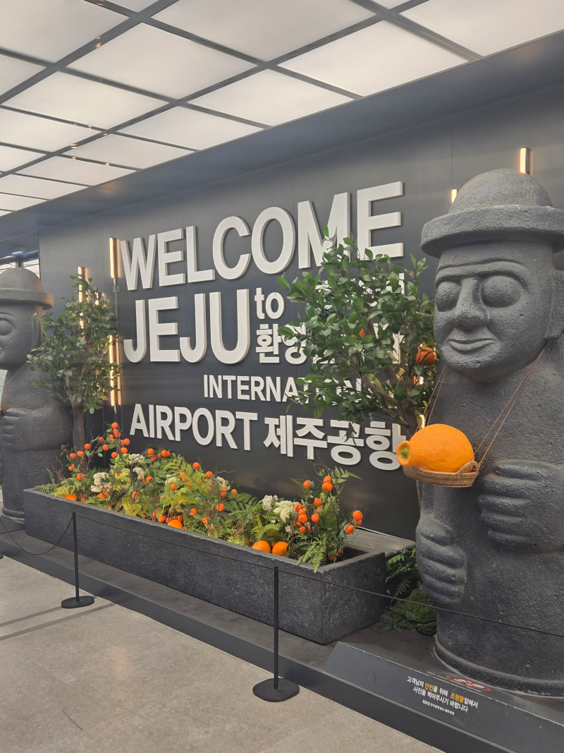제주도 태교여행 · 1일차 · 이금돈지, 한동리 브로콜리