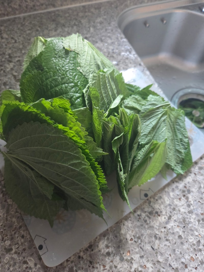 위암 수술 후 반찬 깻잎순 볶음 만드는 법 (깻잎순 손질 및 삶는 시간)
