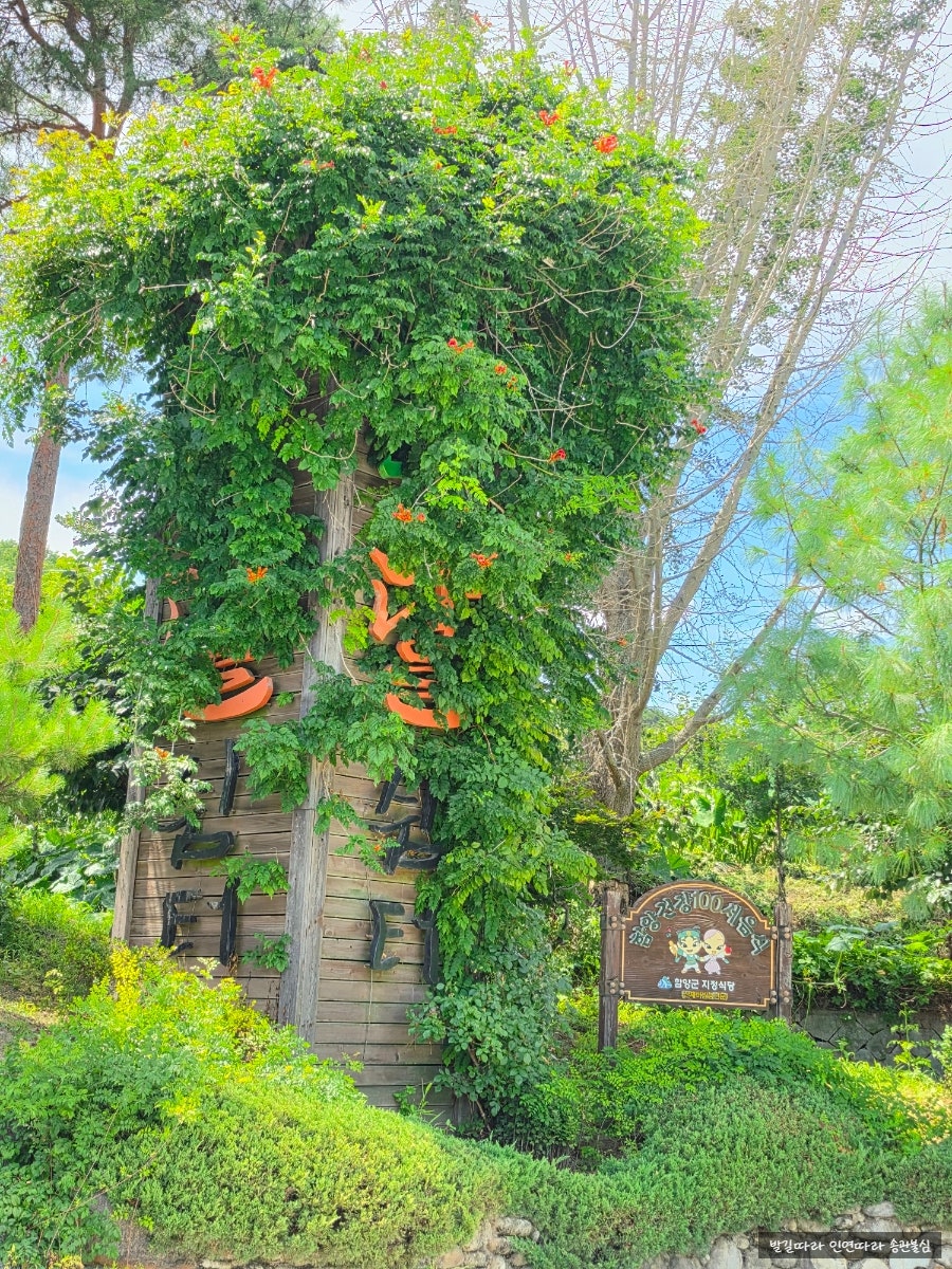 나무달쉼터 사진 5
